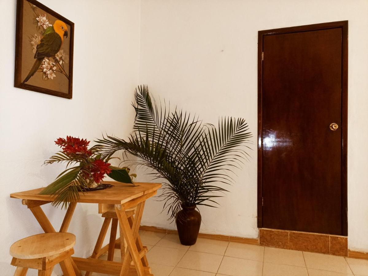 Casa De Los Pajaros - B&B Valladolid  Exteriér fotografie