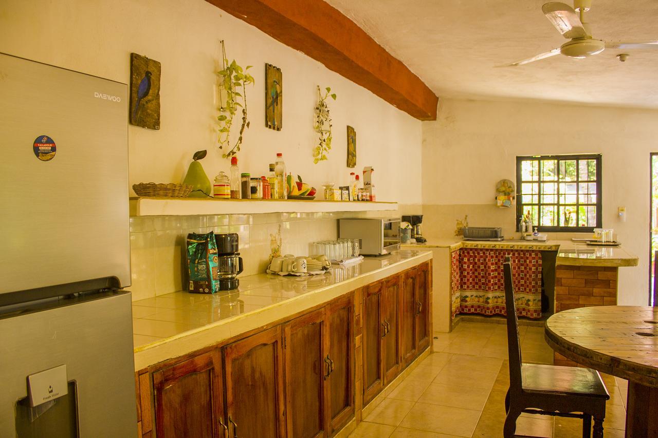 Casa De Los Pajaros - B&B Valladolid  Exteriér fotografie